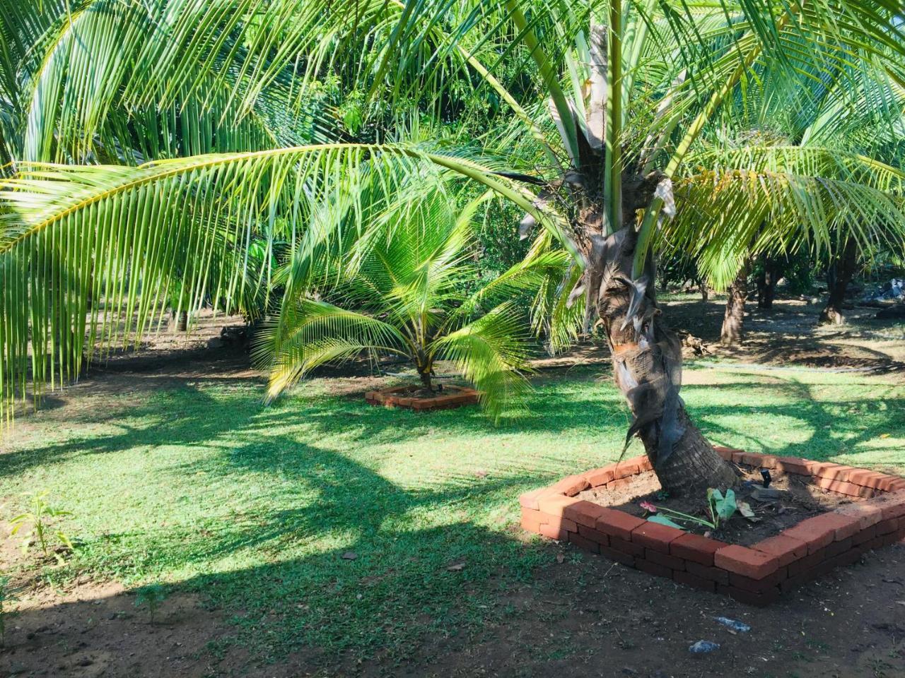 Jaye Eco Lodge Habarana Eksteriør billede